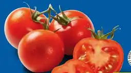 Lidl Cocktailstrauchtomaten Angebot