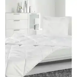 Poco Microfaser-Bettenset Angebot