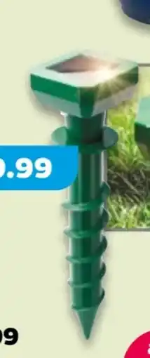 NETTO Gardigo Maulwurfverteiber Angebot
