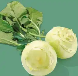 NETTO Bio-Kohlrabi Angebot