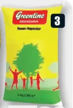 B1 Discount Baumarkt Greenline Rasensamen Rasenreparatur-Set Angebot