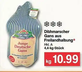 Famila Nord West Dithmarsche Gans Aus Freilandhaltung Angebot