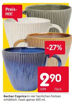 Rusta Becher caprice Angebot