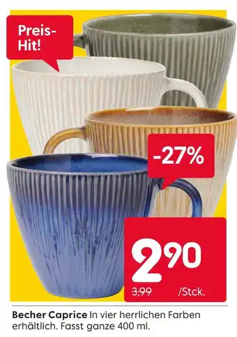 Rusta Becher caprice Angebot