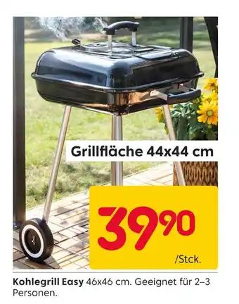 Rusta Kohlegrill easy Angebot