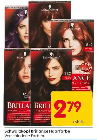 Rusta Schwarzkopf brillance haarfarbe Angebot