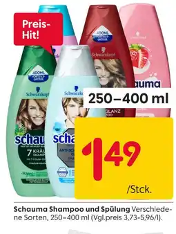 Rusta Schauma shampoo und spülung Angebot