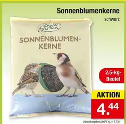 Zimmermann Birds garden sonnenblumenkerne Angebot