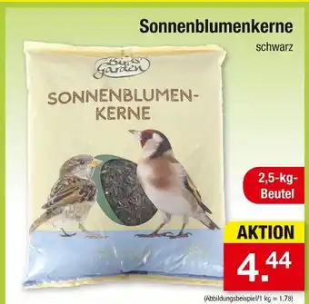 Zimmermann Birds garden sonnenblumenkerne Angebot