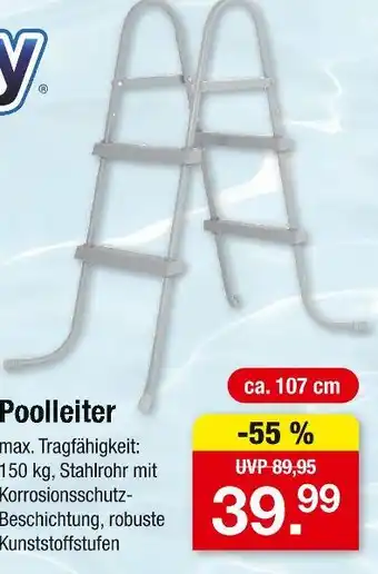 Zimmermann Poolleiter Angebot