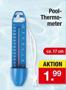Zimmermann Pool-thermometer Angebot