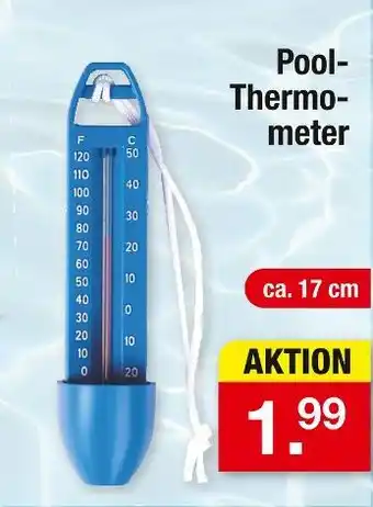 Zimmermann Pool-thermometer Angebot