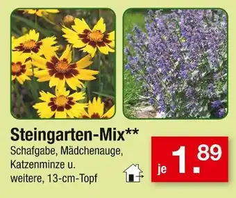 Zimmermann Steingarten-mix Angebot