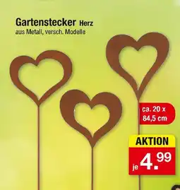 Zimmermann Gartenstecker herz Angebot