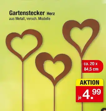 Zimmermann Gartenstecker herz Angebot