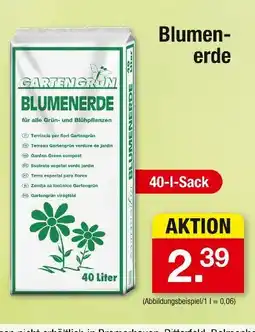 Zimmermann Garten grün blumenerde Angebot