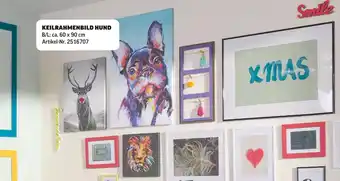 Poco Keilrahmenbild hund Angebot