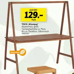 SCONTO Tisch winnipeg Angebot