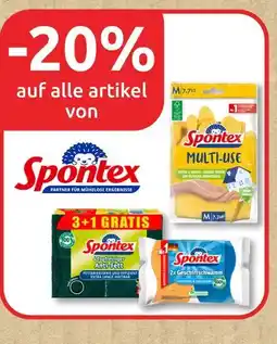 Budni Spontex -20% rabatt Angebot