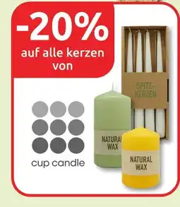 Budni Cup candle kerzen Angebot