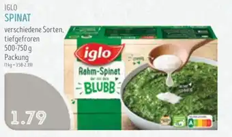 Edeka Struve IGLO SPINAT Angebot