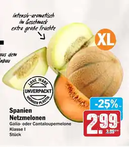 AEZ Spanien Netzmelonen Angebot