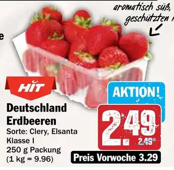 AEZ Deutschland Erdbeeren Angebot
