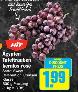 AEZ HIT Ägypten Tafeltrauben kernlos rosé Angebot