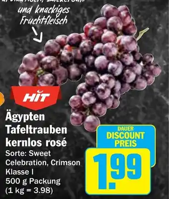 AEZ HIT Ägypten Tafeltrauben kernlos rosé Angebot