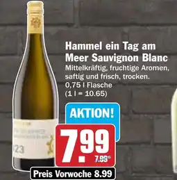 AEZ Hammel ein Tag am Meer Sauvignon Blanc Angebot