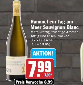 AEZ Hammel ein Tag am Meer Sauvignon Blanc Angebot