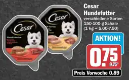 AEZ Cesar Hundefutter Angebot