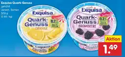 Netto Marken-Discount Exquisa Quark-Genuss Angebot