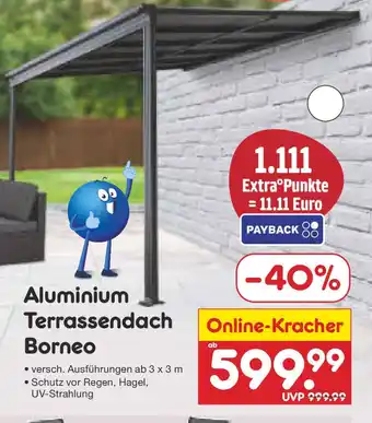 Netto Marken-Discount Aluminium Terrassendach Borneo Angebot