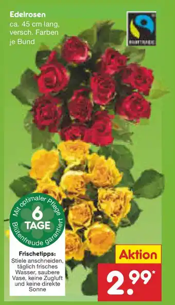 Netto Marken-Discount Edelrosen Angebot
