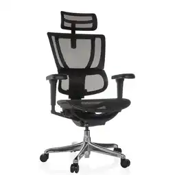 Netto Marken-Discount hjh OFFICE Luxus Chefsessel ERGOHUMAN SLIM ULTRA GEN2 Netzstoff mit Armlehnen (höhenverstellbar) Angebot