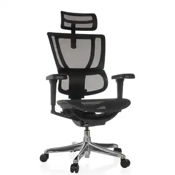Netto Marken-Discount hjh OFFICE Luxus Chefsessel ERGOHUMAN SLIM ULTRA GEN2 Netzstoff mit Armlehnen (höhenverstellbar) Angebot