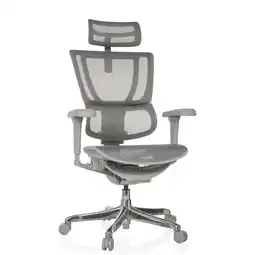 Netto Marken-Discount hjh OFFICE Luxus Chefsessel ERGOHUMAN SLIM ULTRA G GEN2 Netzstoff mit Armlehnen (höhenverstellbar) Angebot