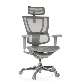 Netto Marken-Discount hjh OFFICE Luxus Chefsessel ERGOHUMAN SLIM ULTRA G GEN2 Netzstoff mit Armlehnen (höhenverstellbar) Angebot