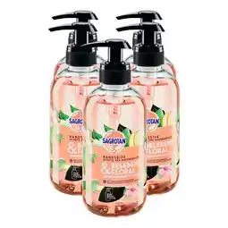 Netto Marken-Discount Sagrotan Handseife Belebend & Floral 300 ml, 5er Pack Angebot