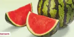 Netto Marken-Discount MarktTag Wassermelone Angebot
