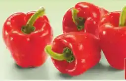 Netto Marken-Discount MarktTag Paprika rot Angebot