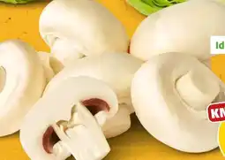 PENNY Marktliebe Regional Riesenchampignons Angebot