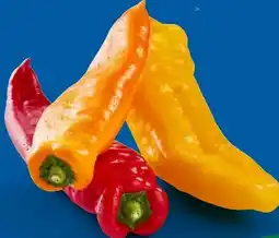 Lidl Spitzpaprika-Mix Angebot