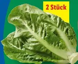 Lidl Mini Romana Angebot