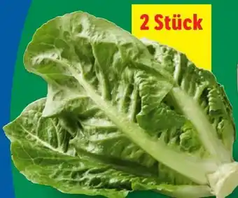 Lidl Mini Romana Angebot