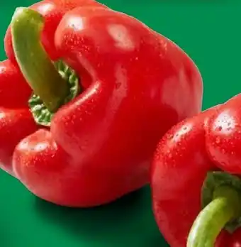 Lidl Rote Paprika Angebot