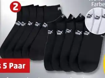 PENNY Puma Herren-Quartersocken 5er-Pack Angebot