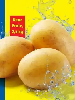 Lidl Speisefrühkartoffeln festkochend Angebot