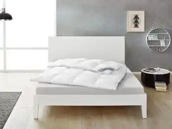Lidl Balette Daunen-Kassettenbettdecke Premium Selection Angebot
